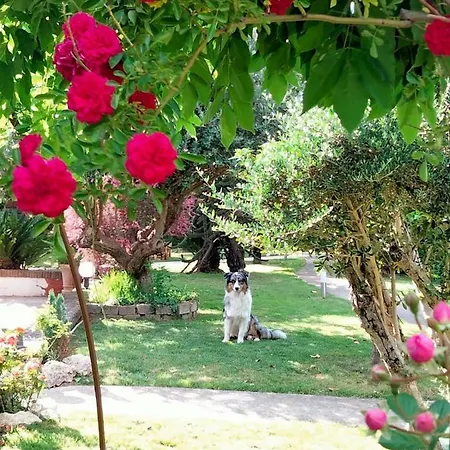 Magione Bed & Breakfast SantʼAgata deʼ Goti