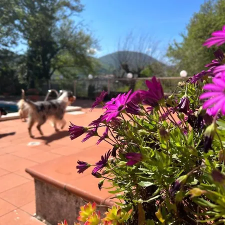 B&B Magione SantʼAgata deʼ Goti