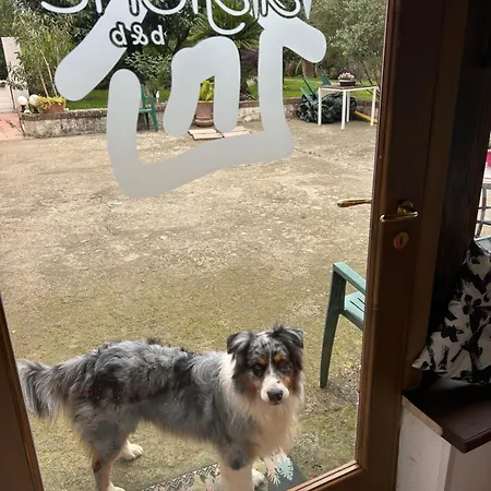 Magione B&B 3*