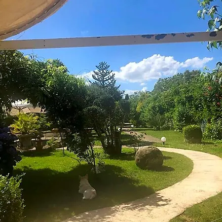 Bed and breakfast Magione 4*