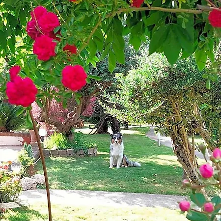 Magione Bed & Breakfast SantʼAgata deʼ Goti