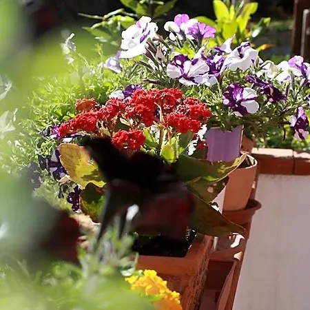 Magione Bed & Breakfast Sant'Agata de' Goti