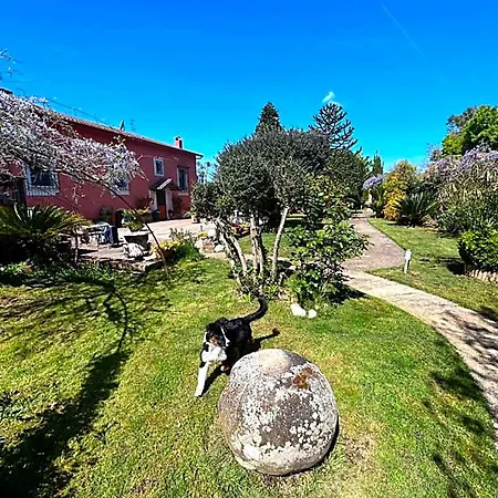 Bed & Breakfast Magione 4*